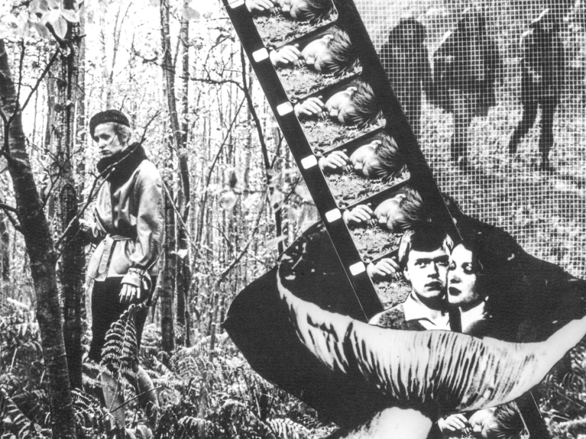 Tunguska – Die Kisten sind da, 1984, Christoph Schlingensief (Foto: Viennale) Tunguska – Die Kisten sind da, 1984, Christoph Schlingensief (Foto: Viennale)