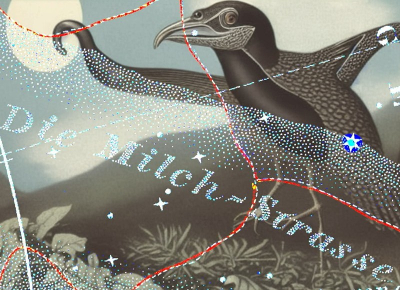 Cosmic Miniatures 2024, Alexander Kluge Cosmic Miniatures 2024, Alexander Kluge