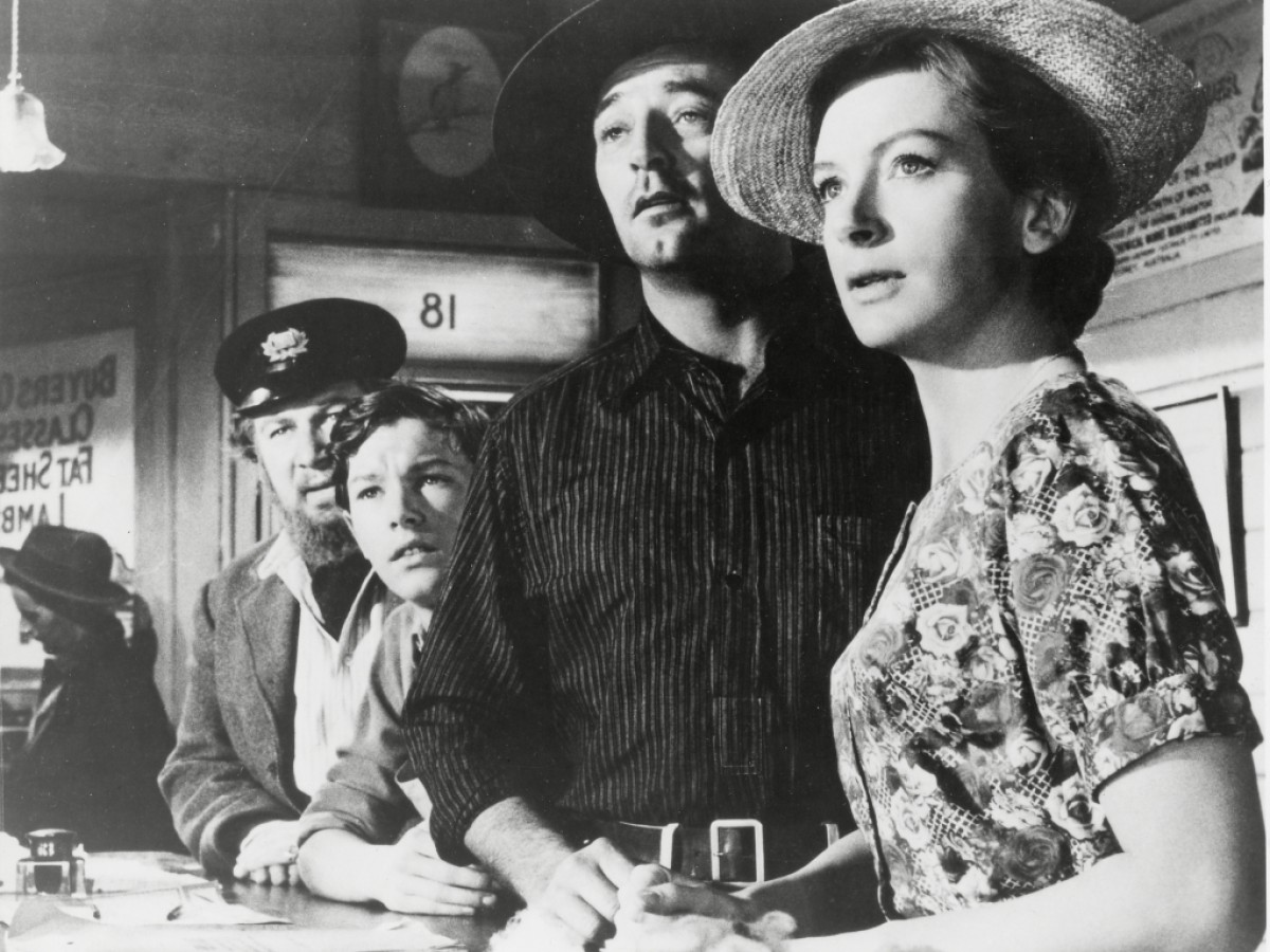 The Sundowners, 1960, Fred Zinnemann The Sundowners, 1960, Fred Zinnemann
