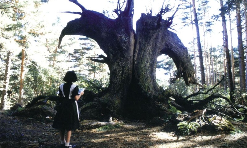 El laberinto del fauno (Pans Labyrinth), 2006, Guillermo del Toro