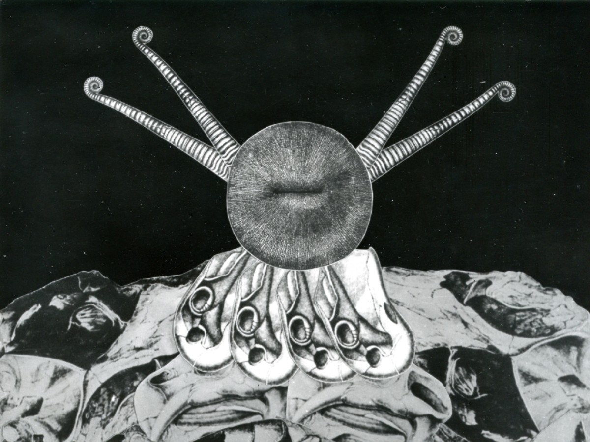 Laokoon, 1970, Václav Mergl Laokoon, 1970, Václav Mergl