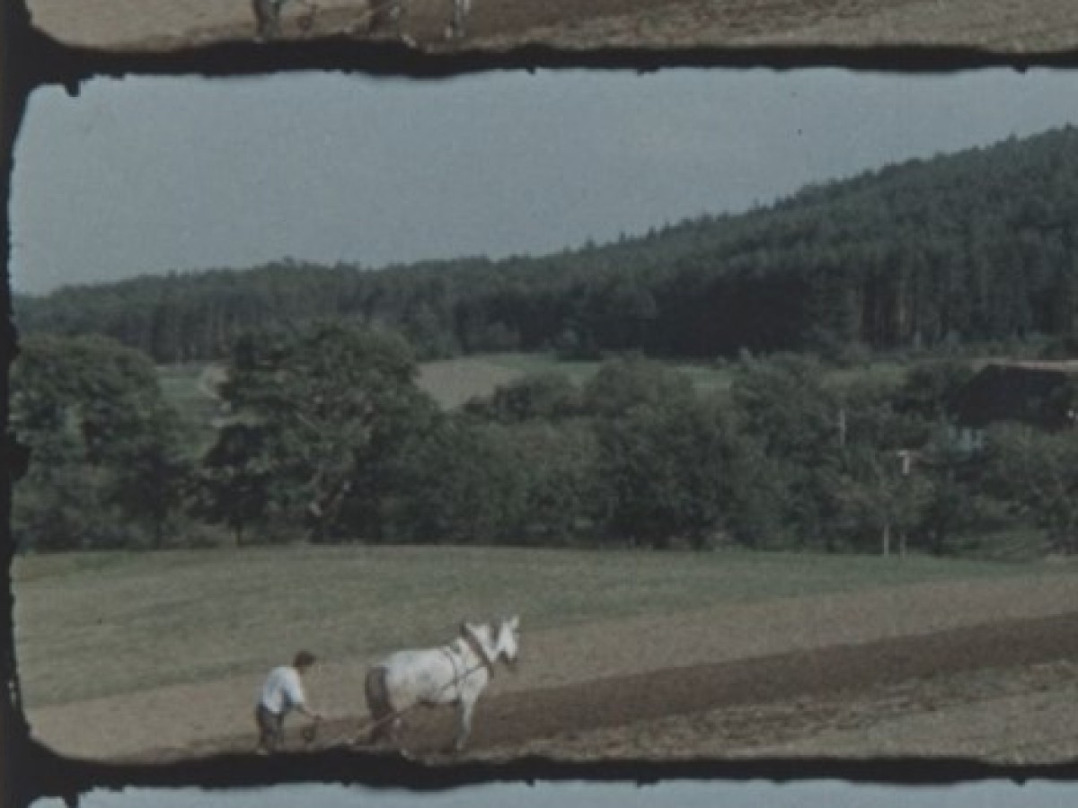 Zwischen Haus und Wald in bezaubernder Landschaft, 1965, Ilse Hilger Zwischen Haus und Wald in bezaubernder Landschaft, 1965, Ilse Hilger