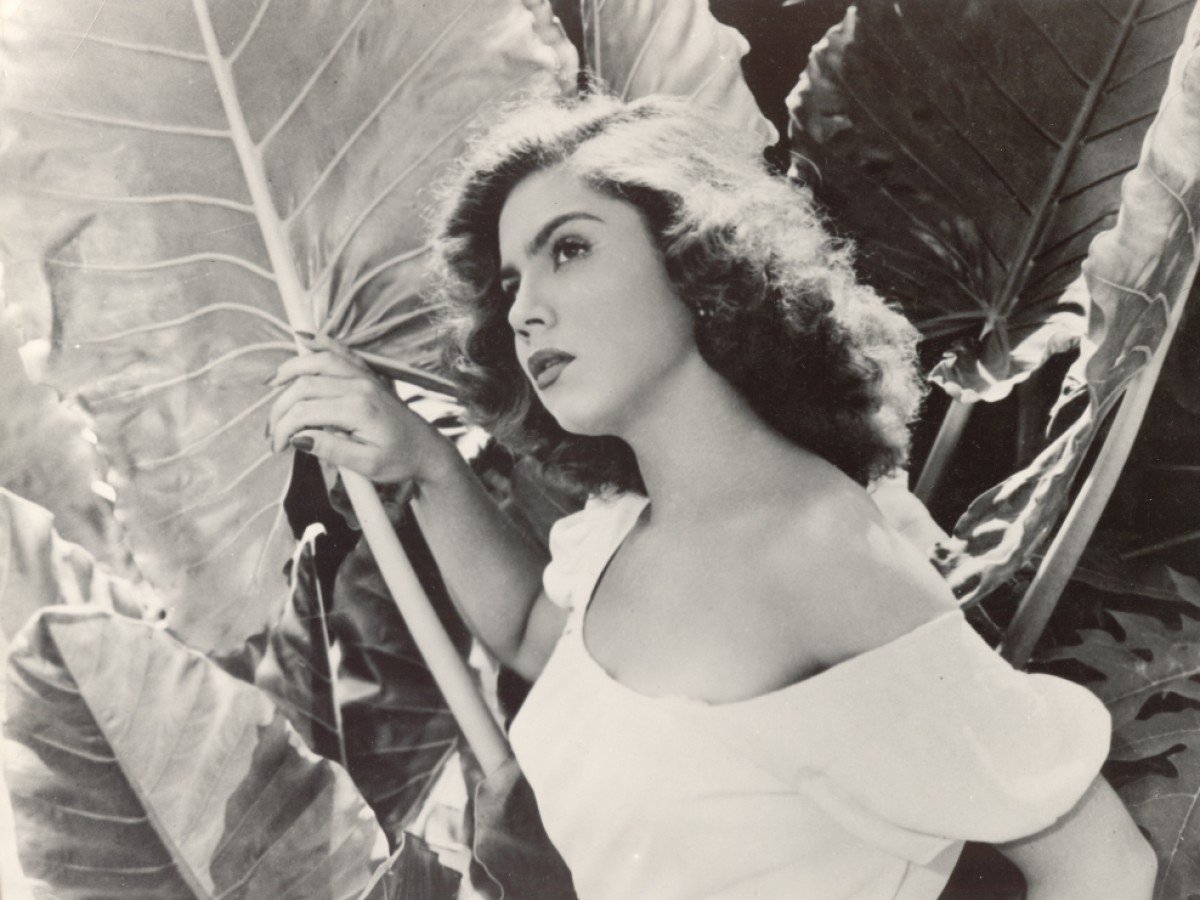 Subida al cielo (Auffahrt zum Himmel), 1952, Luis Buñuel Subida al cielo (Auffahrt zum Himmel), 1952, Luis Buñuel