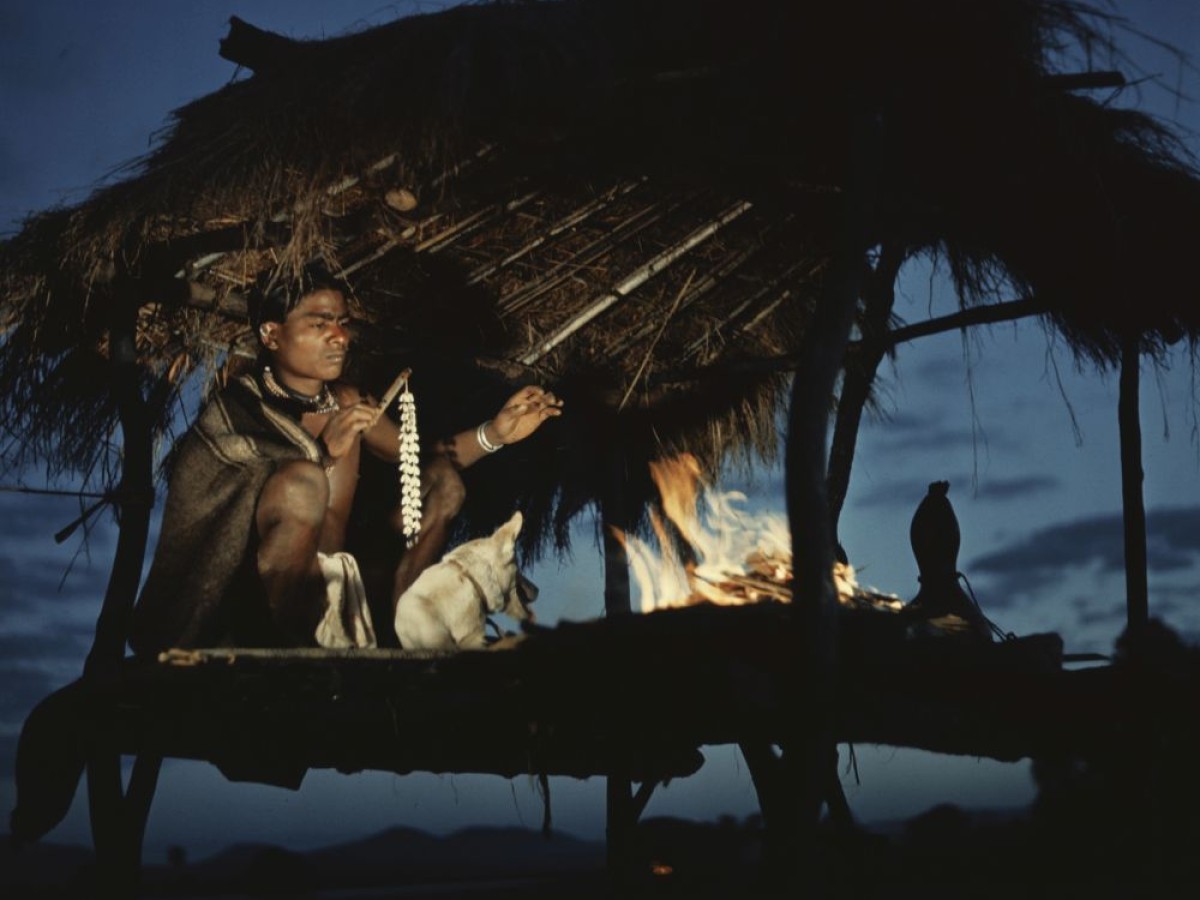 En djungelsaga (Dschungelsaga), 1957, Arne Sucksdorff (Foto: Swedish Film Institute) En djungelsaga (Dschungelsaga), 1957, Arne Sucksdorff (Foto: Swedish Film Institute)
