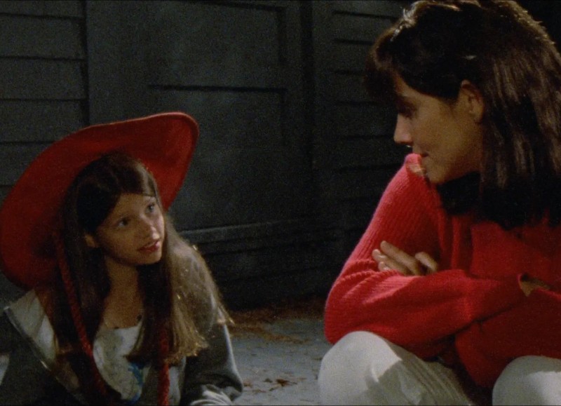 Vengeance is Mine, 1984, Michael Roemer