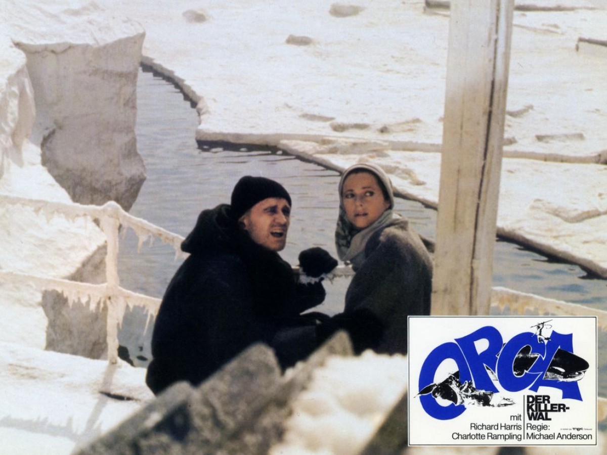 Orca, 1977, Michael Anderson (Foto: Filmarchiv Austria) Orca, 1977, Michael Anderson (Foto: Filmarchiv Austria)