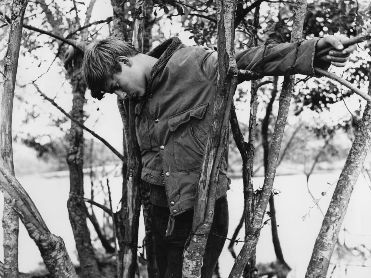 Pojken i trädet (Die Wilderer vom Teufelsmoor), 1961, Arne Sucksdorff (Foto: Swedish Film Institute) Pojken i trädet (Die Wilderer vom Teufelsmoor), 1961, Arne Sucksdorff (Foto: Swedish Film Institute)
