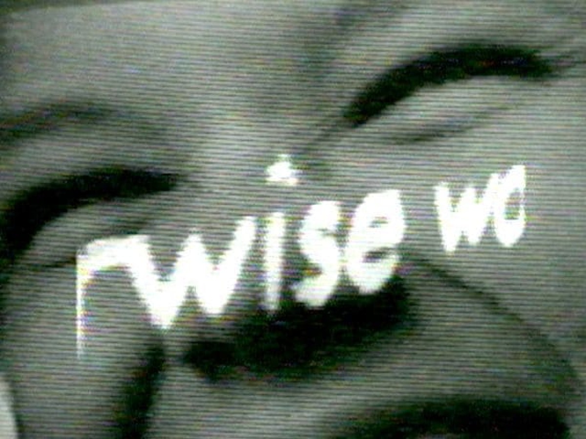 The Vision Machine, 1997, Peggy Ahwesh (Courtesy of Electronic Arts Intermix, New York)