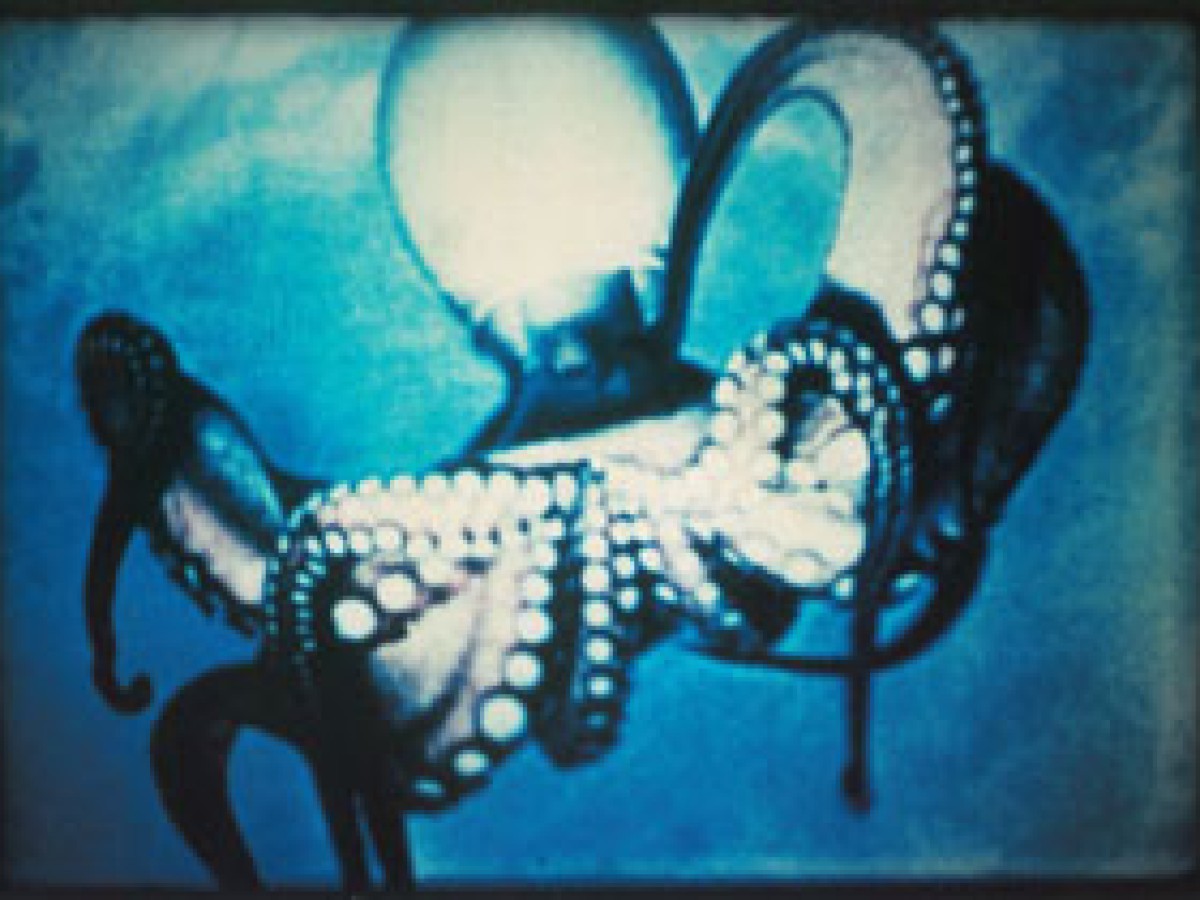 Under Water Sea Fantasy, 1983/2003, Jack Goldstein