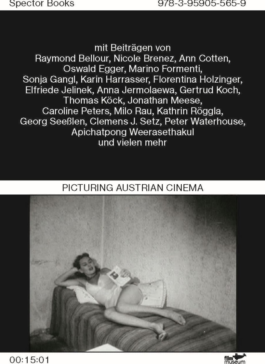 Picturing Austrian Cinema